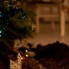 Noël